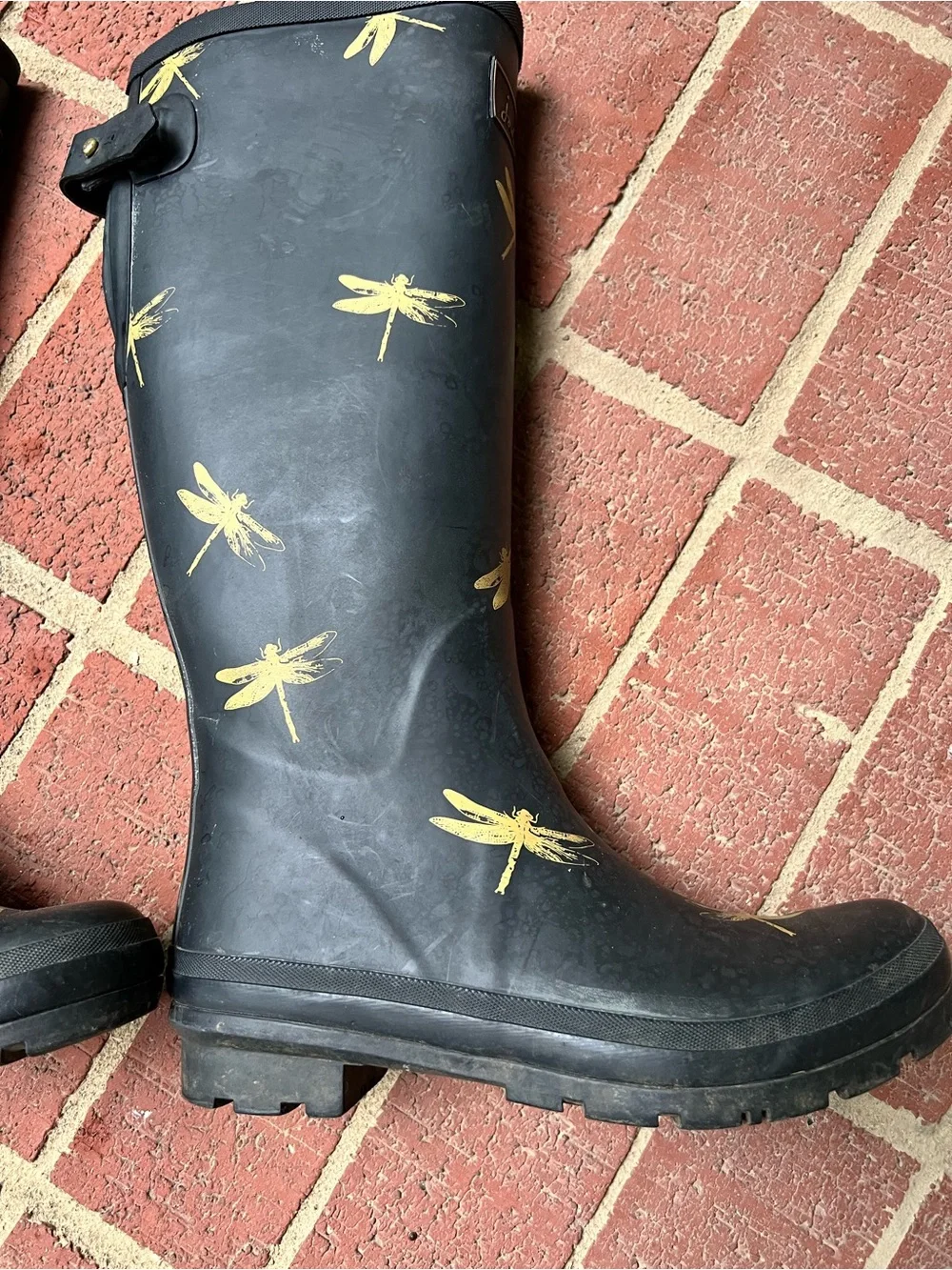 Joules Women’s Welly Black Rain boots with Gold Dragonflies size 9